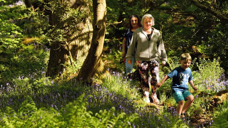 Two women and a child walking in woodland at Hardcastle Crags, West Yorkshire